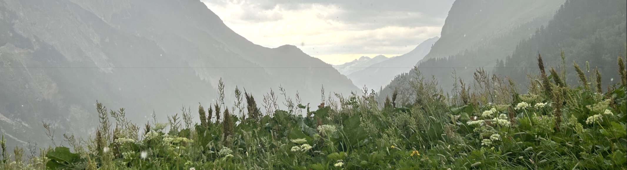 Storm over the Vanoise National Park, French Alps Octopus_with_tea